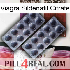 Viagra Sildénafil Citrate 31
